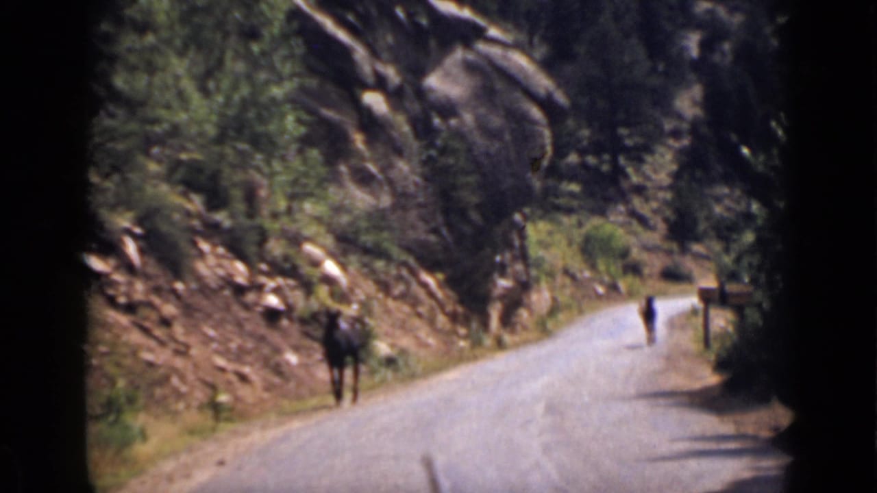 Horses and a distant walker appear on a curving road near a rocky cliff.