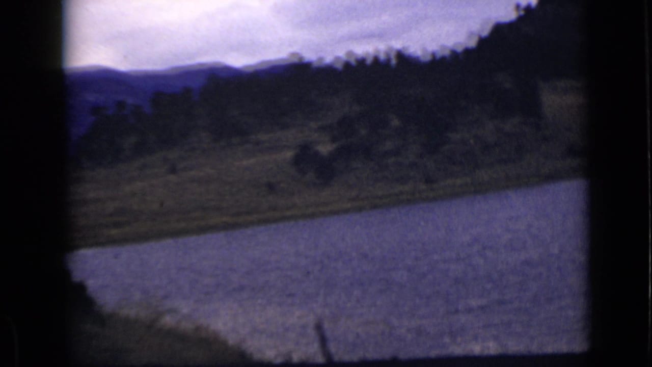 Water, sloped shore, tree-covered hillside, and mountains in the distance.