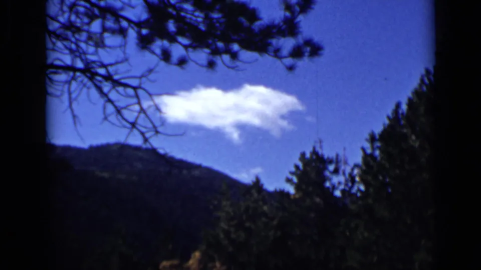 Vintage Colorado mountain view with pine branches crossing the sky and a bright cloud over a wooded ridge.