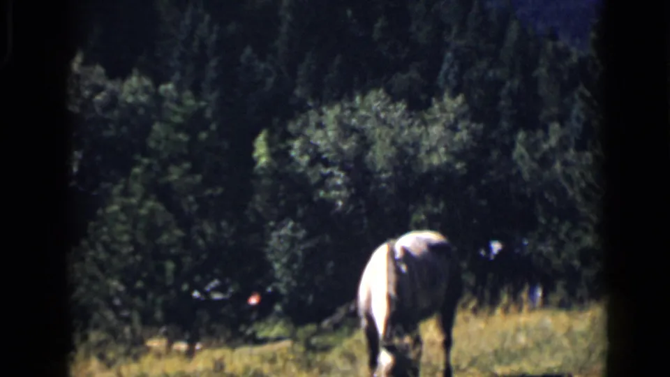 1939 Colorado home-movie frame with a pale horse feeding in grass below a dark wooded hillside.