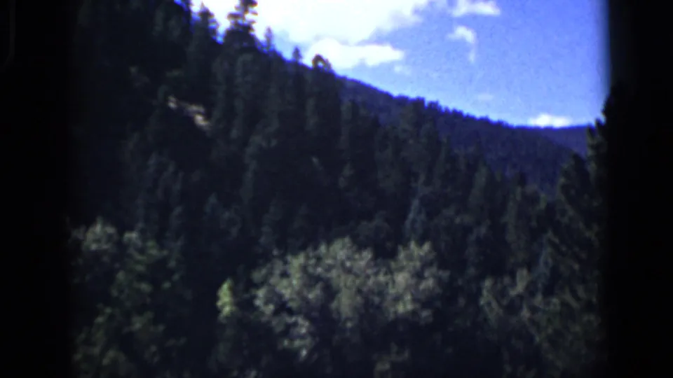 Colorado mountain landscape on 8mm film, with dense trees, meadow edge, and blue sky visible after the horse moves out of frame.