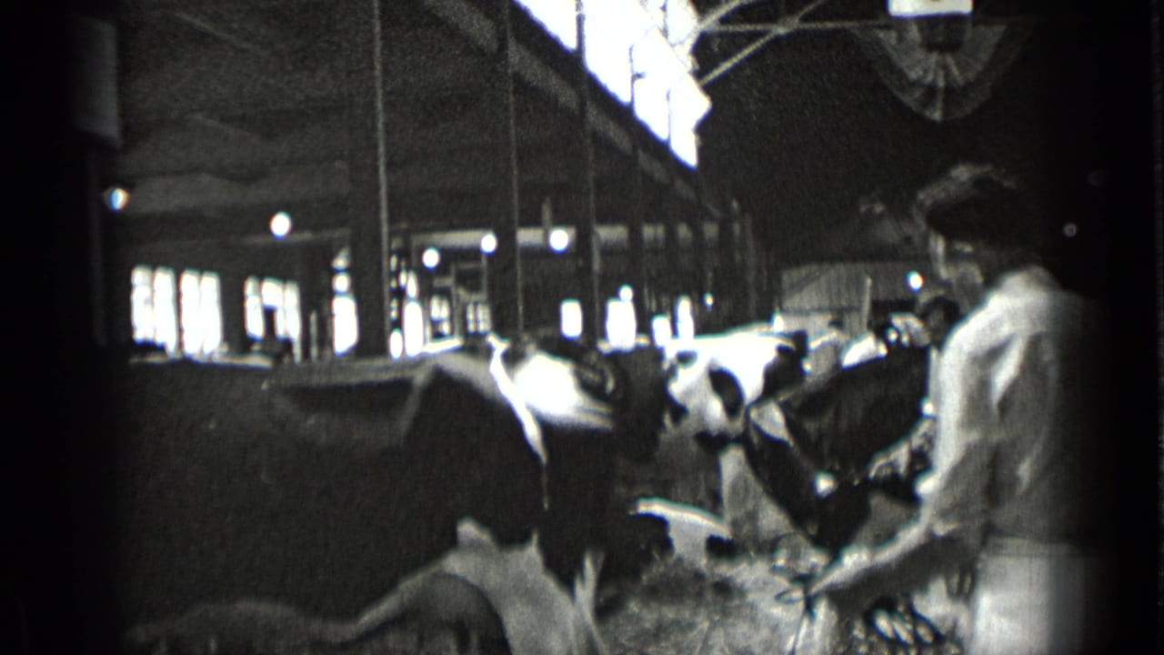 Workers stand among lined cows inside a dairy barn.