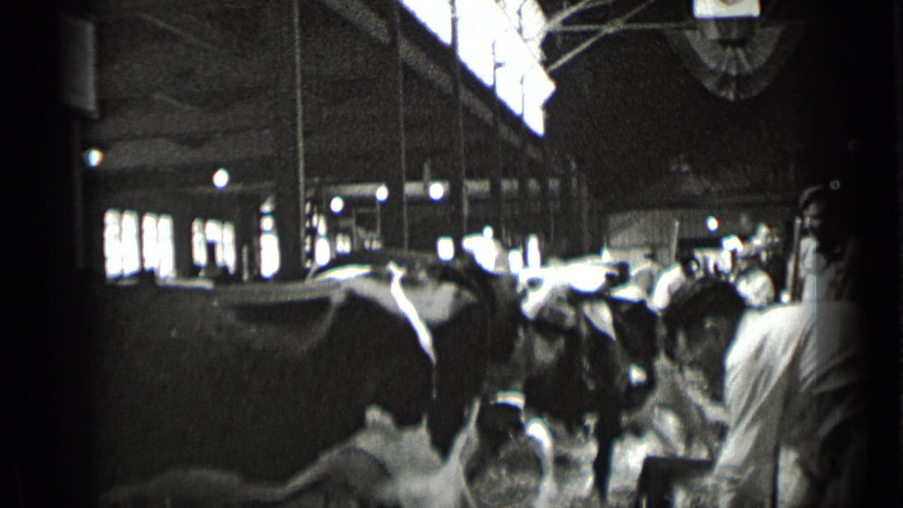 Cows stand in a row as people move through the barn aisle.