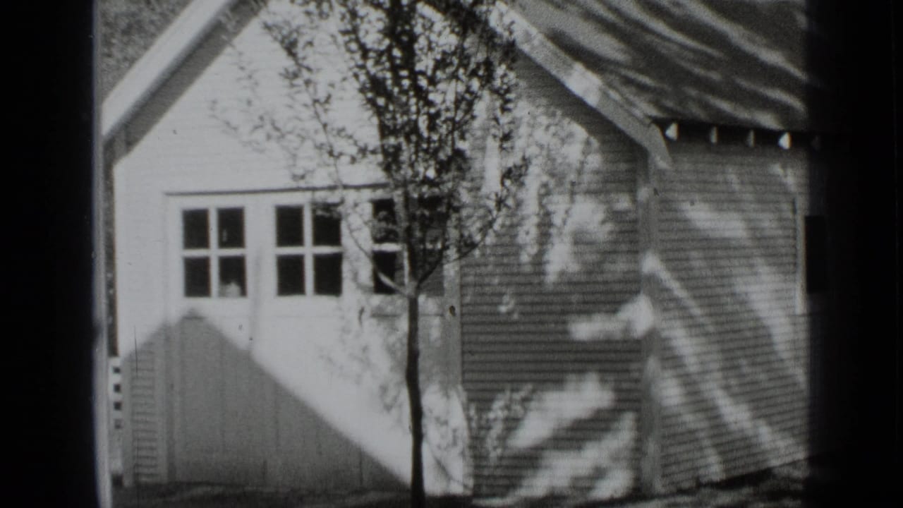 Clapboard house exterior with multi-pane windows and a young tree in front.