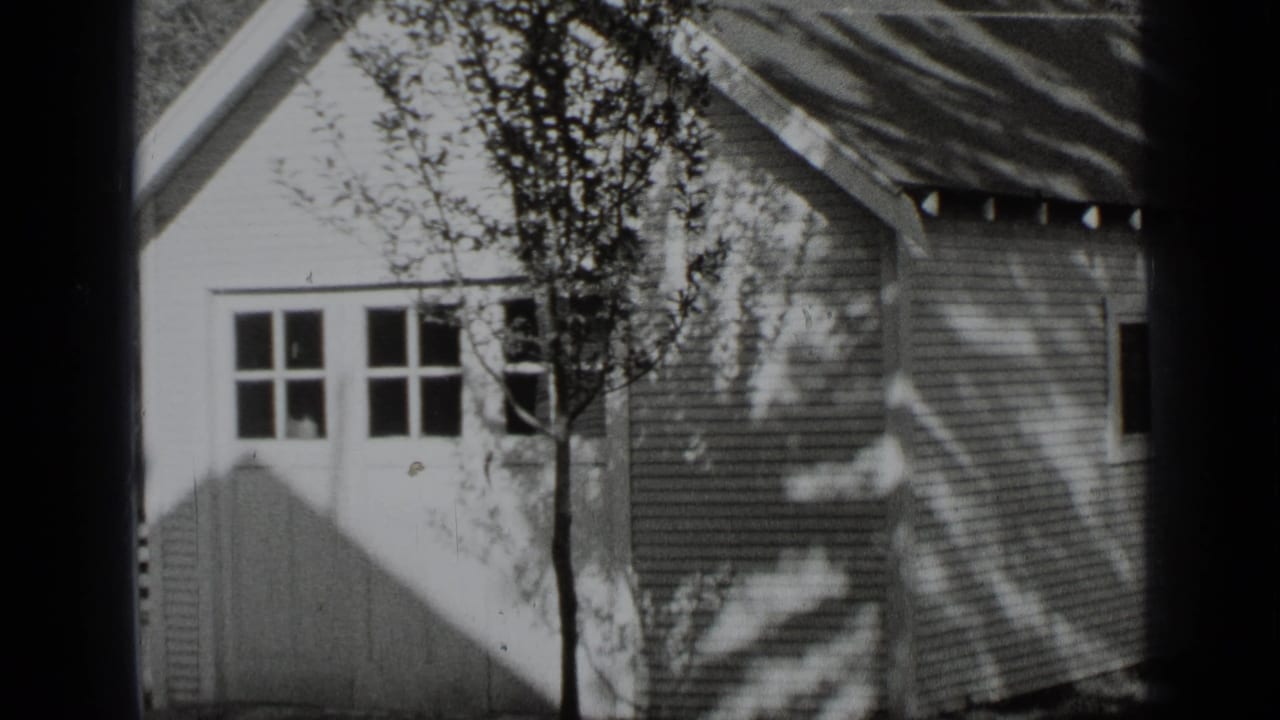 Small house facade with windows, siding, roof edge, and tree branches.