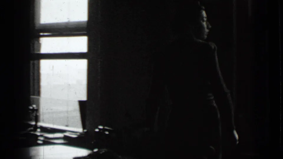 A dim interior frame shows a silhouetted person near a bright window, likely after the arrival at the house.