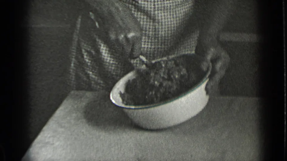 Close 8mm view of a woman’s hands working a utensil through food in a white bowl on a table or counter.