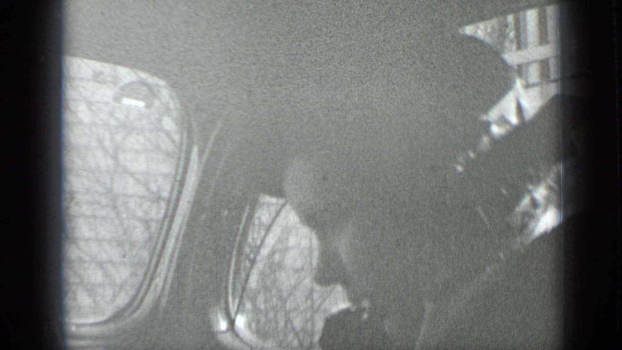 Silhouetted person inside a vehicle beside rounded windows and bare trees outside.