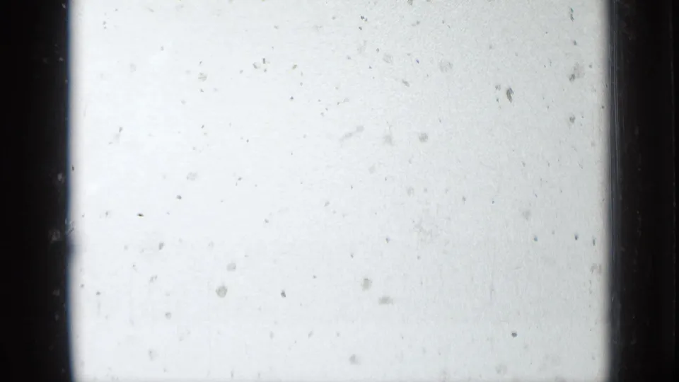 Overexposed black-and-white 8mm frame with visible dust, specks, soft edge falloff, and a dark film border.