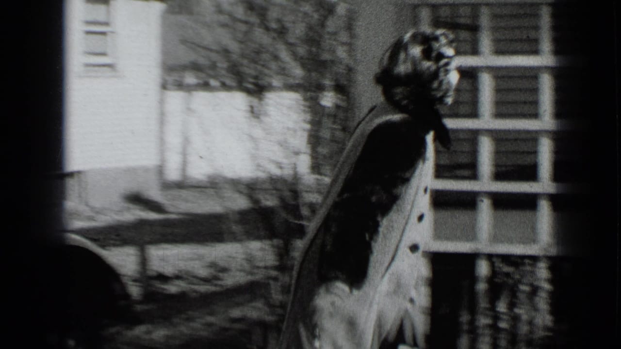Woman walking toward the house with her back partly turned.