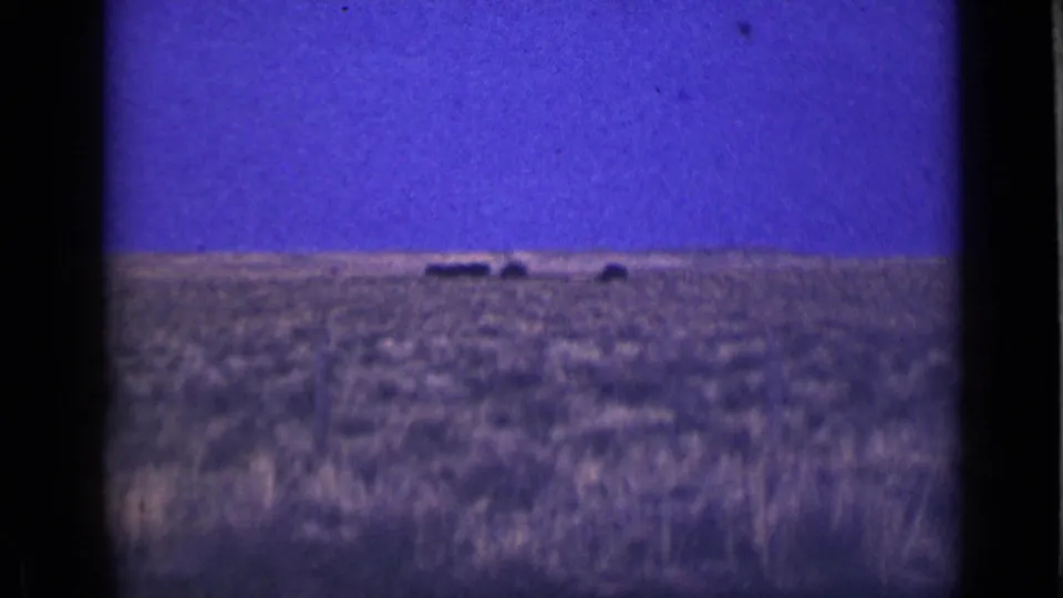 1939 Utah home-movie frame with a blue-purple sky and open rural ground, showing small distant dark shapes near the horizon.