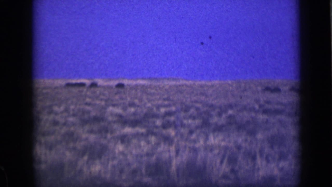 Distant dark animals on a flat prairie horizon beneath a blue-purple sky.