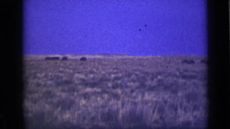 1939 Utah 8mm frame showing distant bison-like silhouettes along a flat prairie horizon under a blue-purple sky.