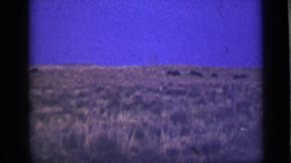 1939 Utah home-movie frame with distant bison-like animals scattered across the prairie horizon in soft, grainy color.