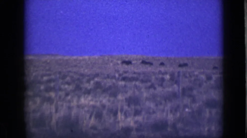 1939 Utah 8mm still showing a low prairie horizon with small dark bison-like forms against the grassland.