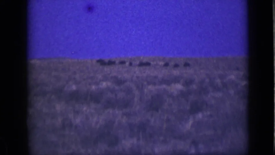 1939 Utah home-movie frame with a distant herd-like line of bison-shaped silhouettes on the prairie horizon.