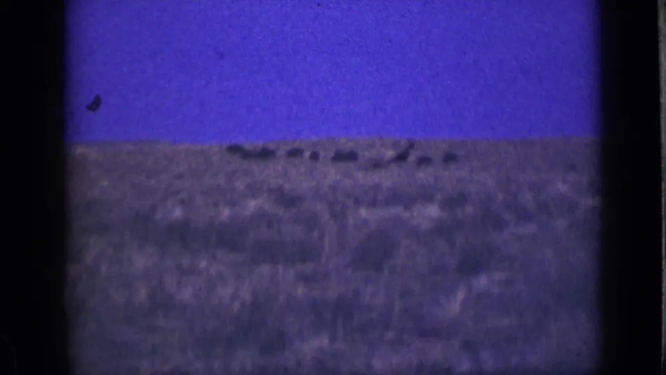 1939 Utah home-movie frame showing a far-off herd-like line of animals across open desert under a blue-purple sky.