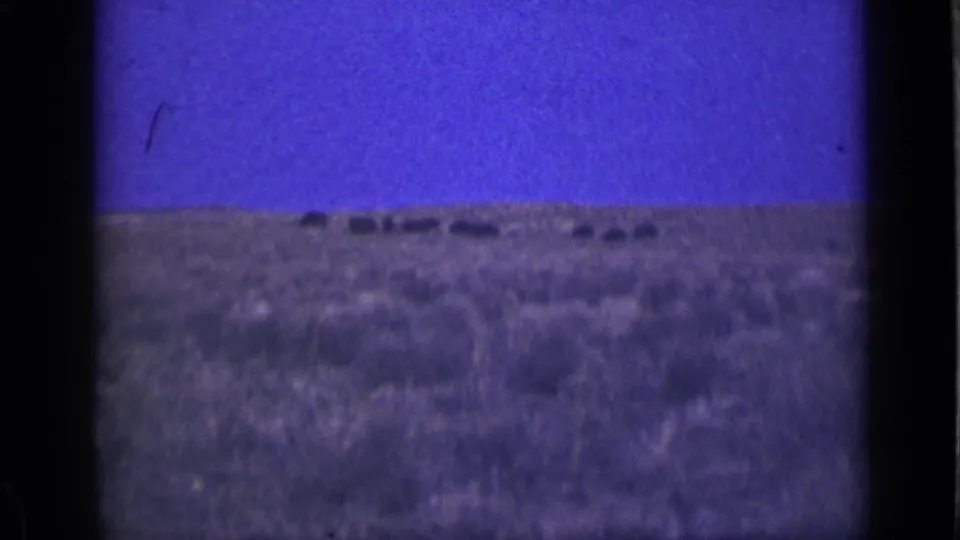 1939 Utah frame with a loose herd-like line of distant animals above scrubland, framed by visible 8mm film edges.