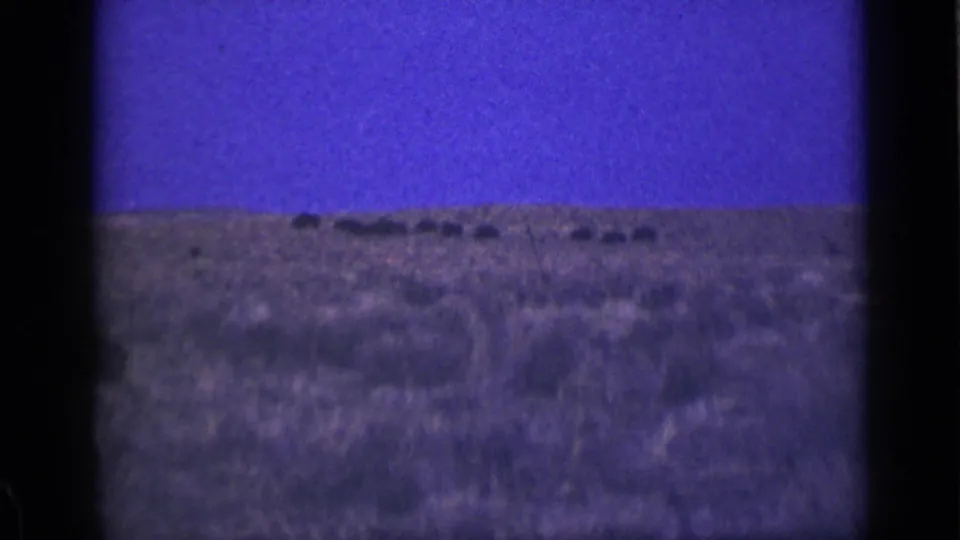 Final 1939 Utah home-movie frame showing distant animal silhouettes on an open desert plain under a saturated blue-purple sky.