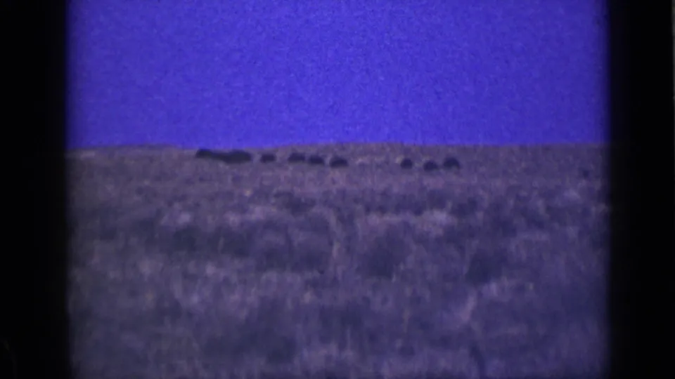 1939 Utah home-movie frame with distant animals spread across a softly focused field, framed by visible 8mm borders.