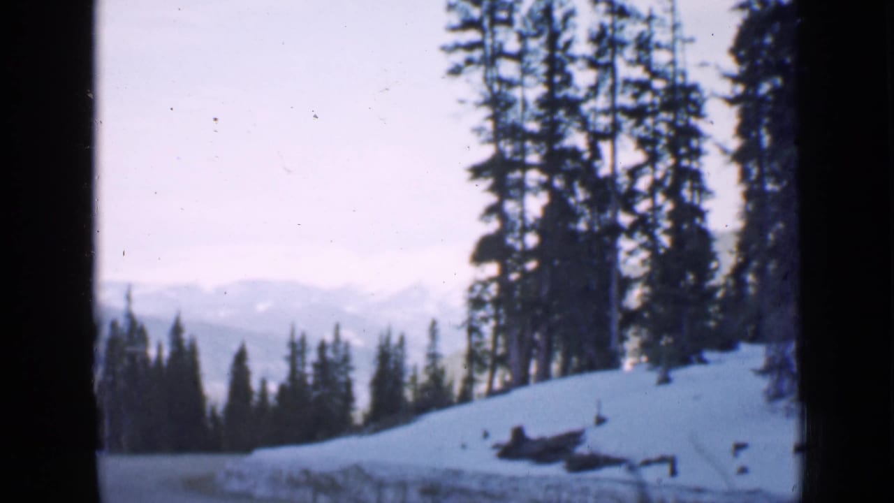 Snowy mountain road bordered by evergreen trees and dark window edges.