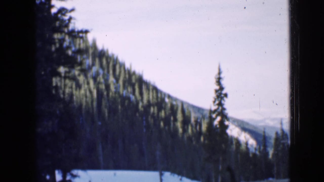 Snowy evergreen mountain slope seen through dark film or window edges.