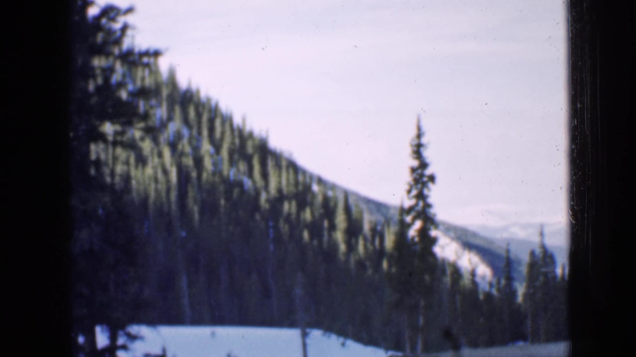 Evergreen hillside with snow and a distant mountain view.