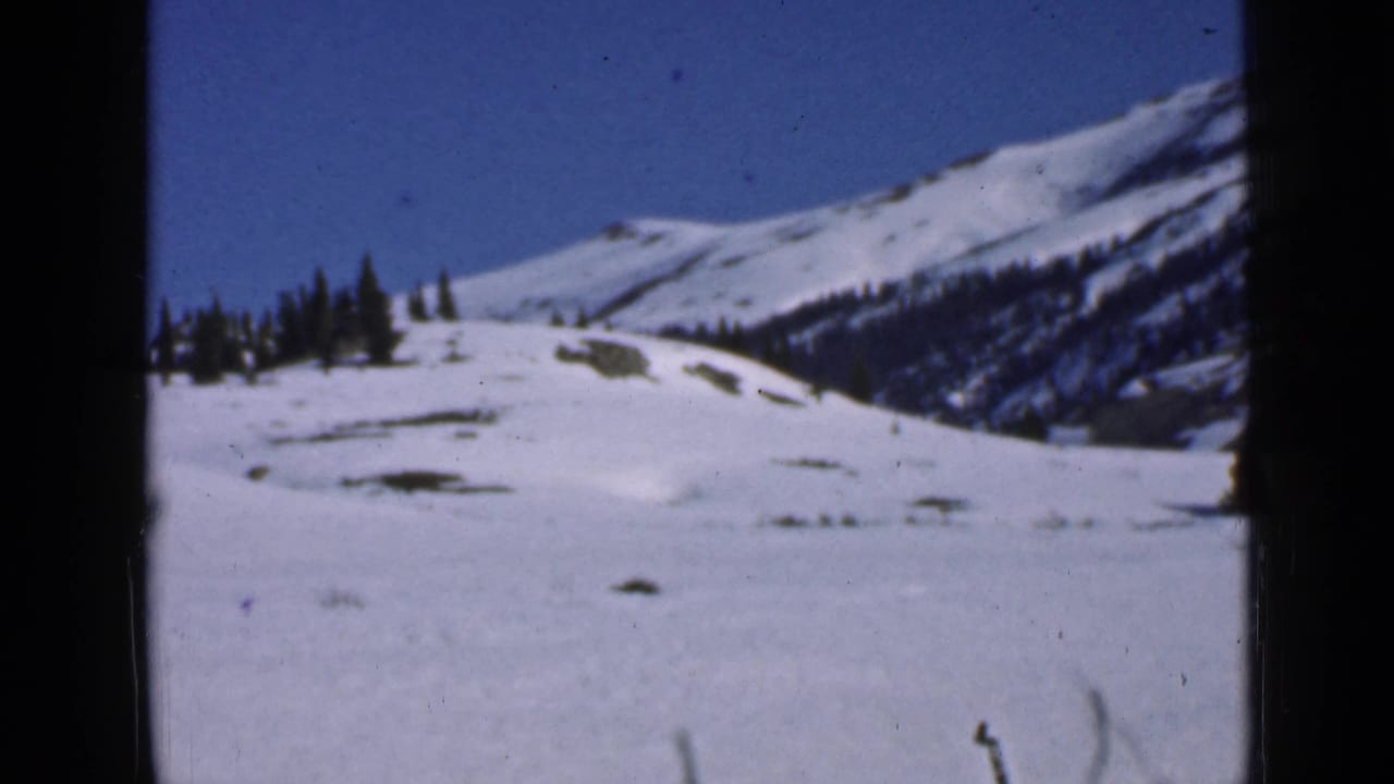 Snow-covered mountain slope with conifer trees under a clear blue sky.