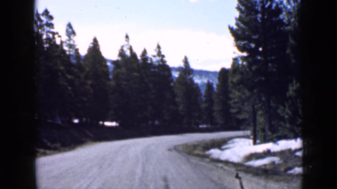 Curving dirt road through pine trees with snow patches beside the shoulder.