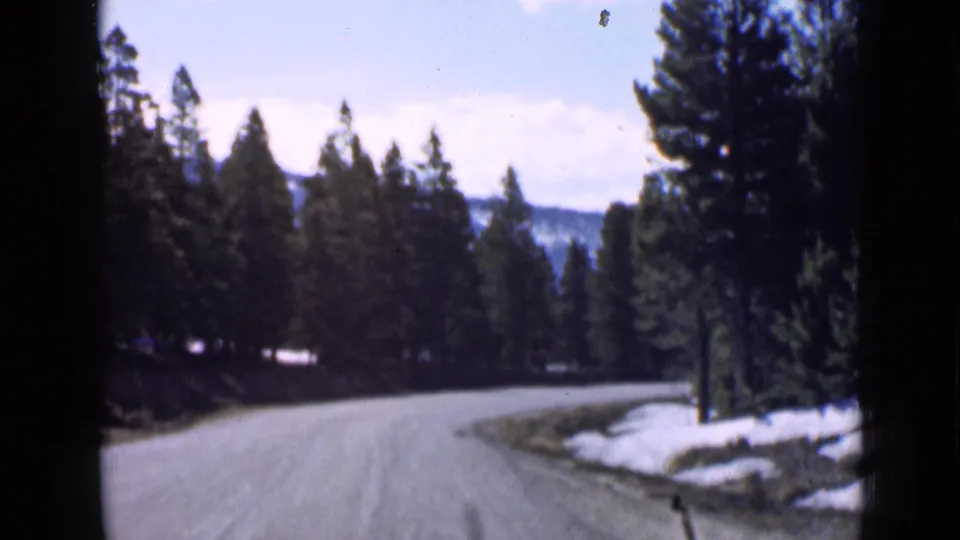 Home-movie view of a quiet Utah mountain road, with dark pine trees and lingering snow framing the curve.