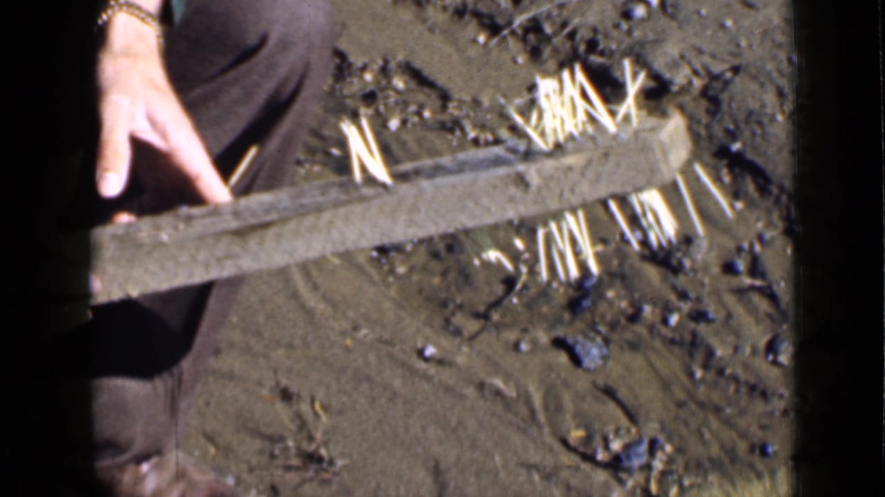 A person holds a long wooden board over dirt with protruding nails and scattered rocks.