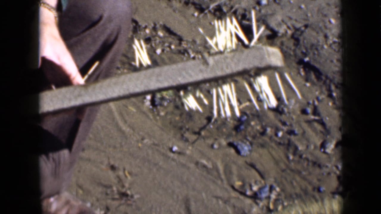 Close 8mm view of a wooden board and clustered protruding nails or thin stakes in dirt, with part of a person at left.