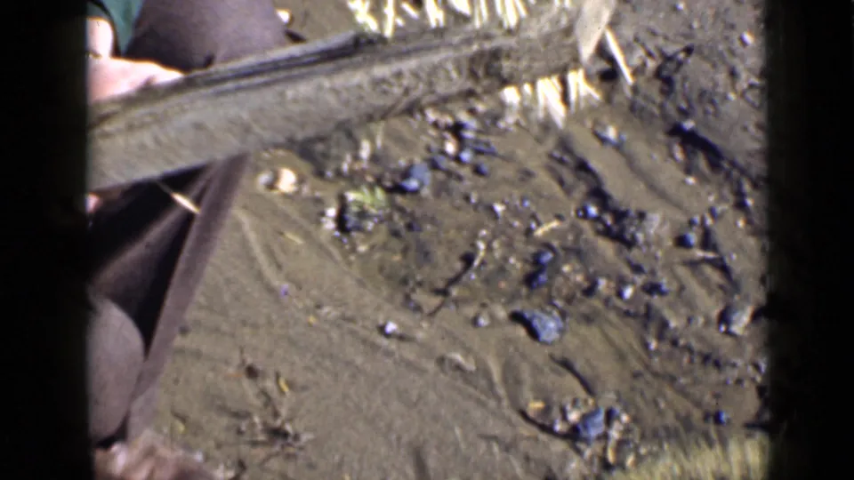 Close Utah 1939 frame of a rough board, disturbed dirt, rocks, and the edge of a person working nearby.