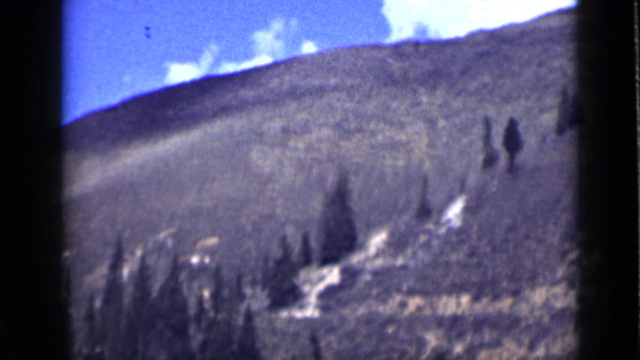 Open mountain slope beneath bright blue sky with scattered trees.