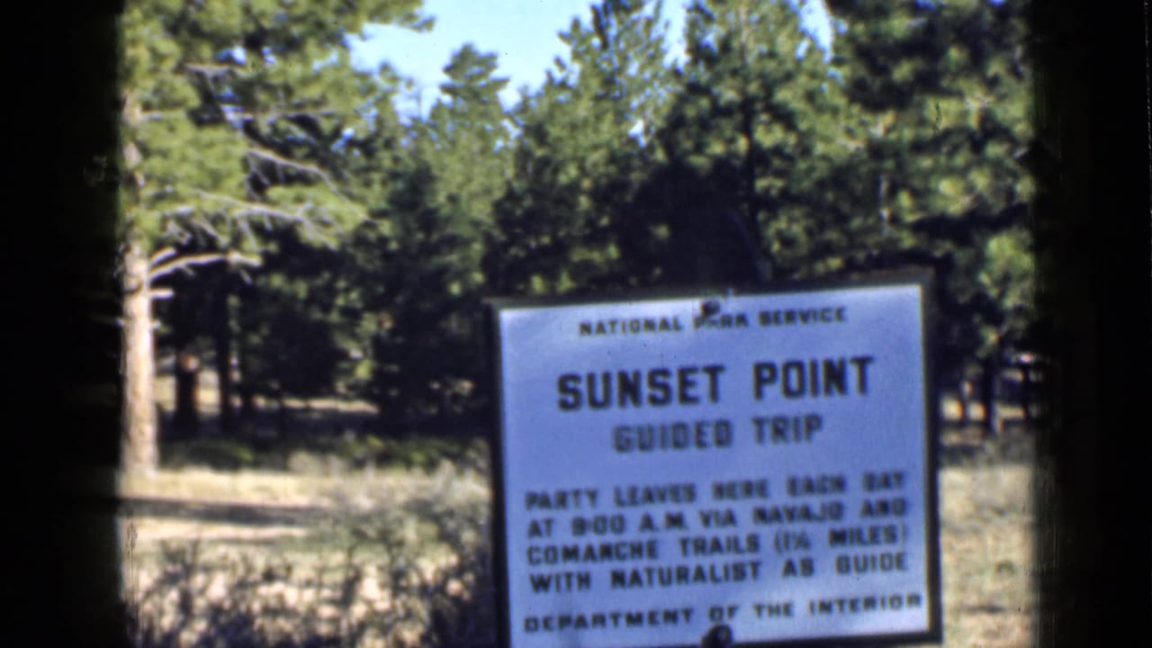 White Sunset Point Guided Trip sign standing before pine trees and dry grass.