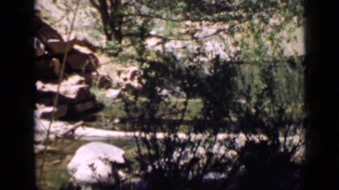 1939 Utah 8mm frame showing a shaded stream with rounded rocks, dense bushes, trees, and pale canyon wall beyond.