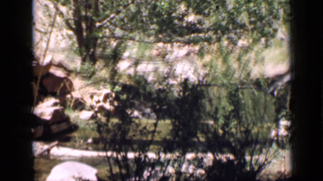 1939 Utah 8mm view from a dark framed opening toward trees, rocks, and sunlit creek-side vegetation.