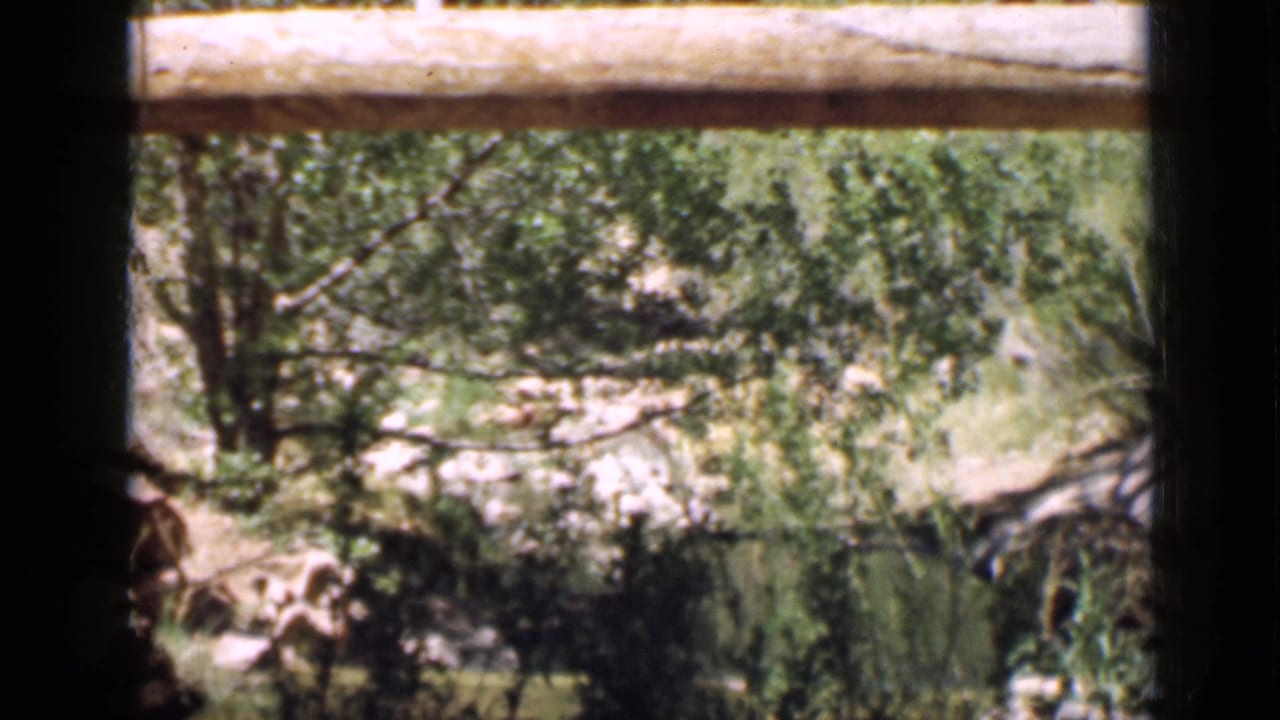 Horizontal log rail crosses a wooded view with rocks and green foliage.