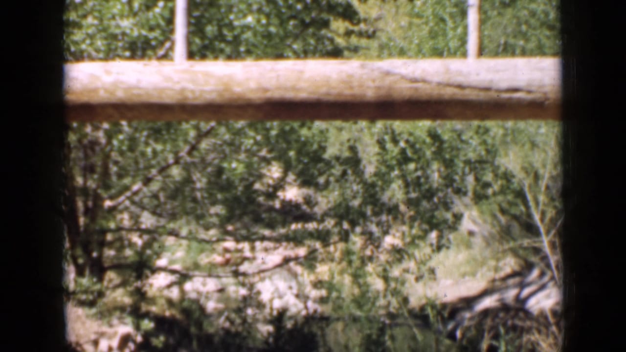 1939 Utah 8mm frame with a rustic log rail, upright supports, dense trees, and dry creek-bank grasses.