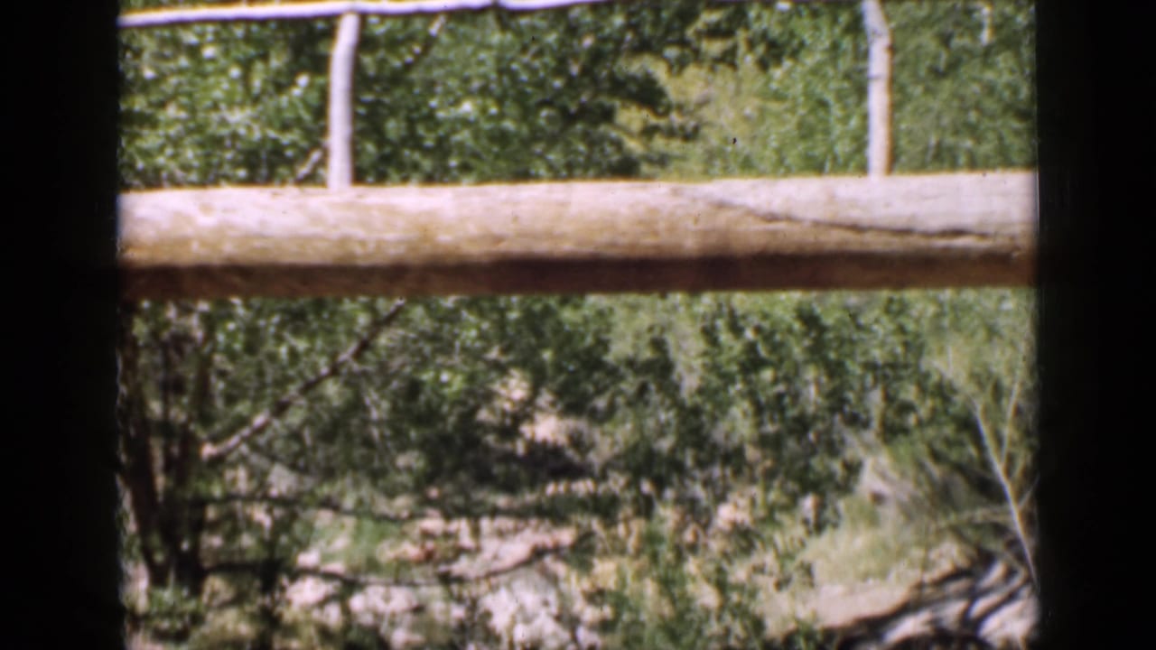 1939 Utah home-movie view of a rustic log rail and posts before leafy trees and rocky creek-bank vegetation.
