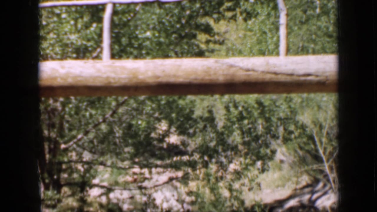 Utah 1939 home-movie frame showing a rustic log bridge or railing above trees and a ravine, partly obscured by dark foreground framing.