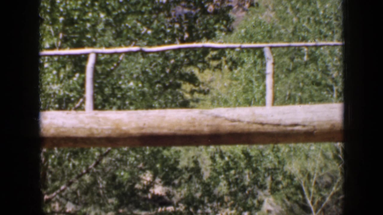 Utah 1939 frame with a rustic log bridge or railing, dense green trees, and a rocky ravine wall visible beyond dark foreground edges.