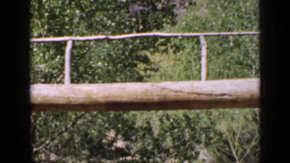 Utah 1939 frame with a rustic log bridge or railing, dense green trees, and a rocky ravine wall visible beyond dark foreground edges.