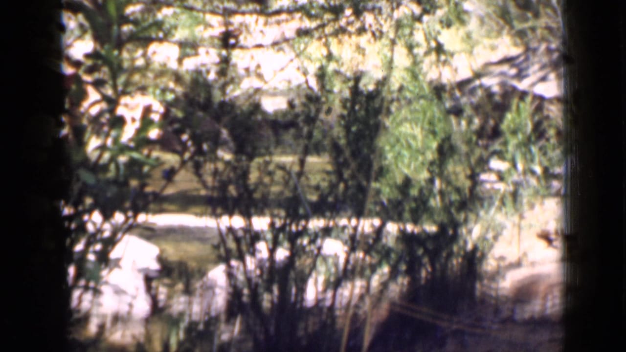 1939 Utah home-movie view across dense brush and pale rocky ground in a canyon setting.