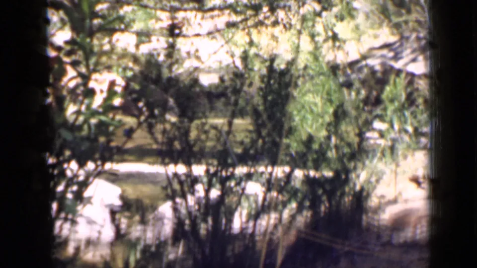 1939 Utah home-movie view across dense brush and pale rocky ground in a canyon setting.