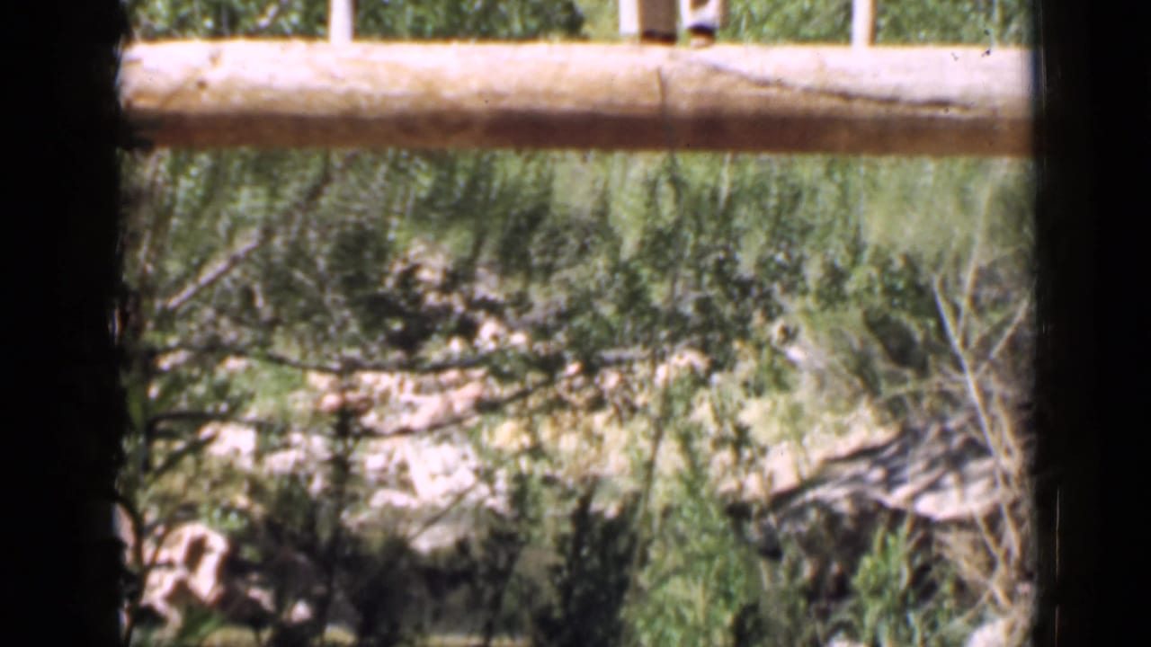 1939 Utah frame with a wooden bridge rail crossing above dense foliage and rocky canyon terrain.