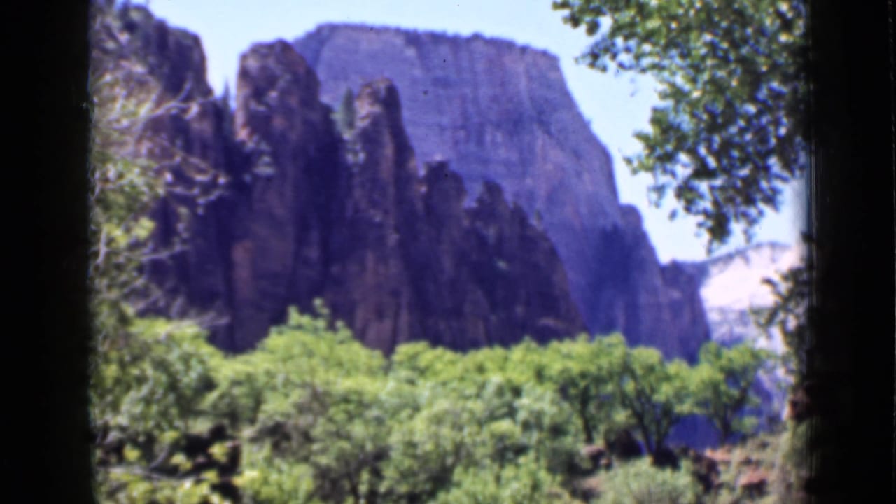 1939 Utah 8mm frame holding on mountain cliffs above dense green trees, with leafy branches and dark film borders visible.