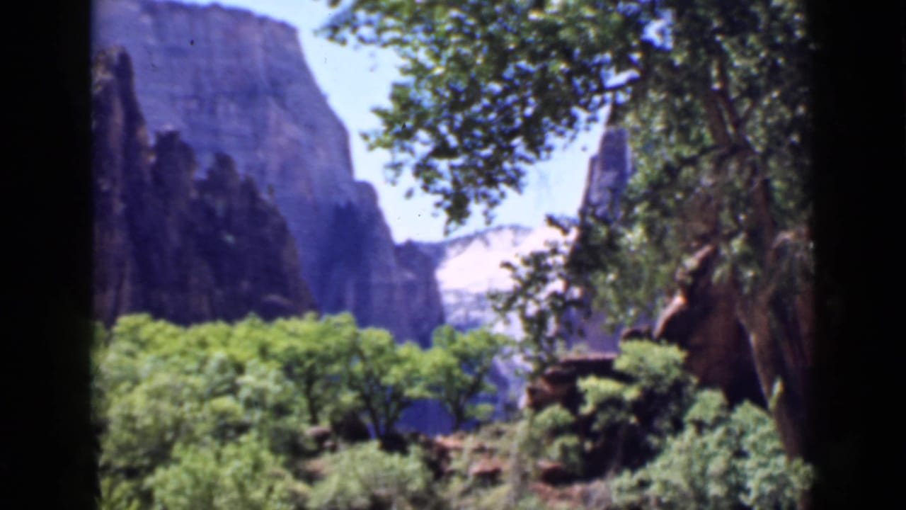 Sandstone canyon cliffs seen through leafy trees and foreground foliage.