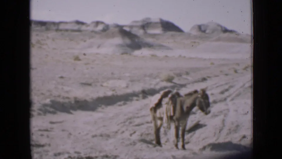 1939 Utah 8mm frame of a lone donkey standing in open desert terrain with distant eroded rock forms.