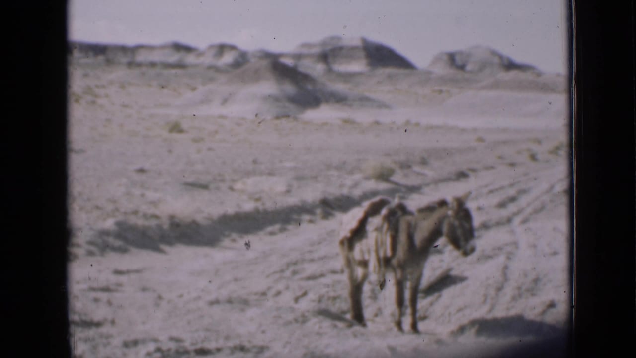 1939 Utah home-movie frame showing a saddled donkey on pale desert terrain with distant rounded rock formations.